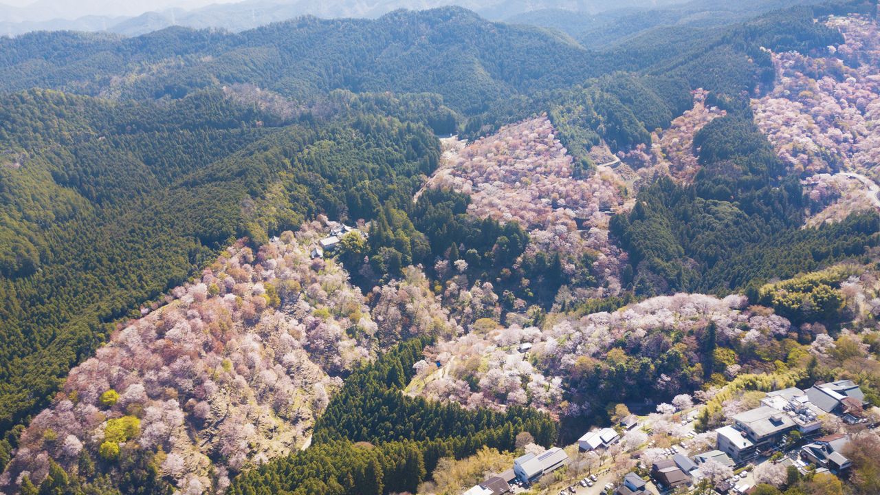 Аэрофотоснимок горы Ёсино