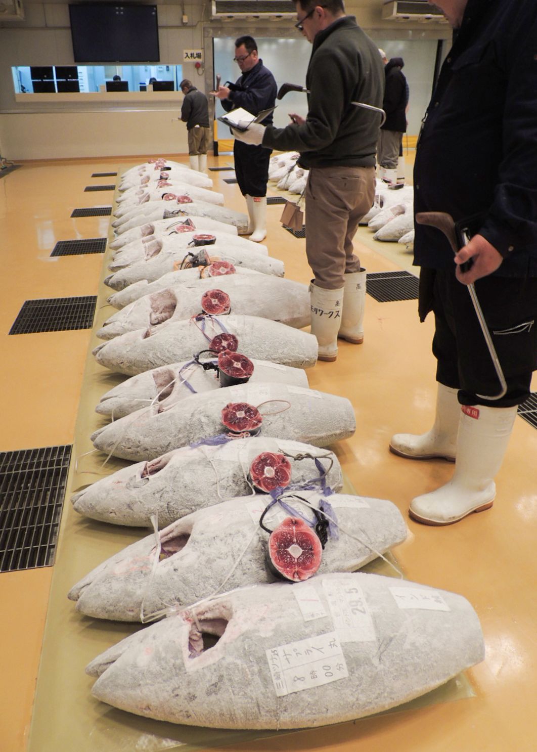 Покупатели выстраиваются в очередь, чтобы оценить качество замороженного тунца. Счетчик на заднем плане предназначен для подачи письменных заявок (фото автора)