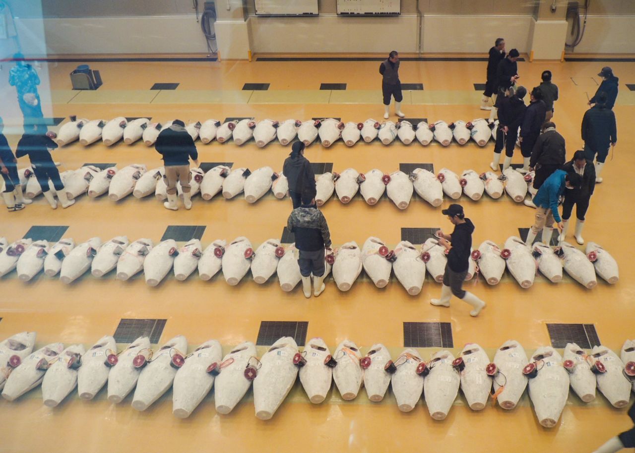 Вид на аукцион тунца с галереи для посетителей на втором этаже. В настоящее время рынок закрыт для посещения (фото автора)