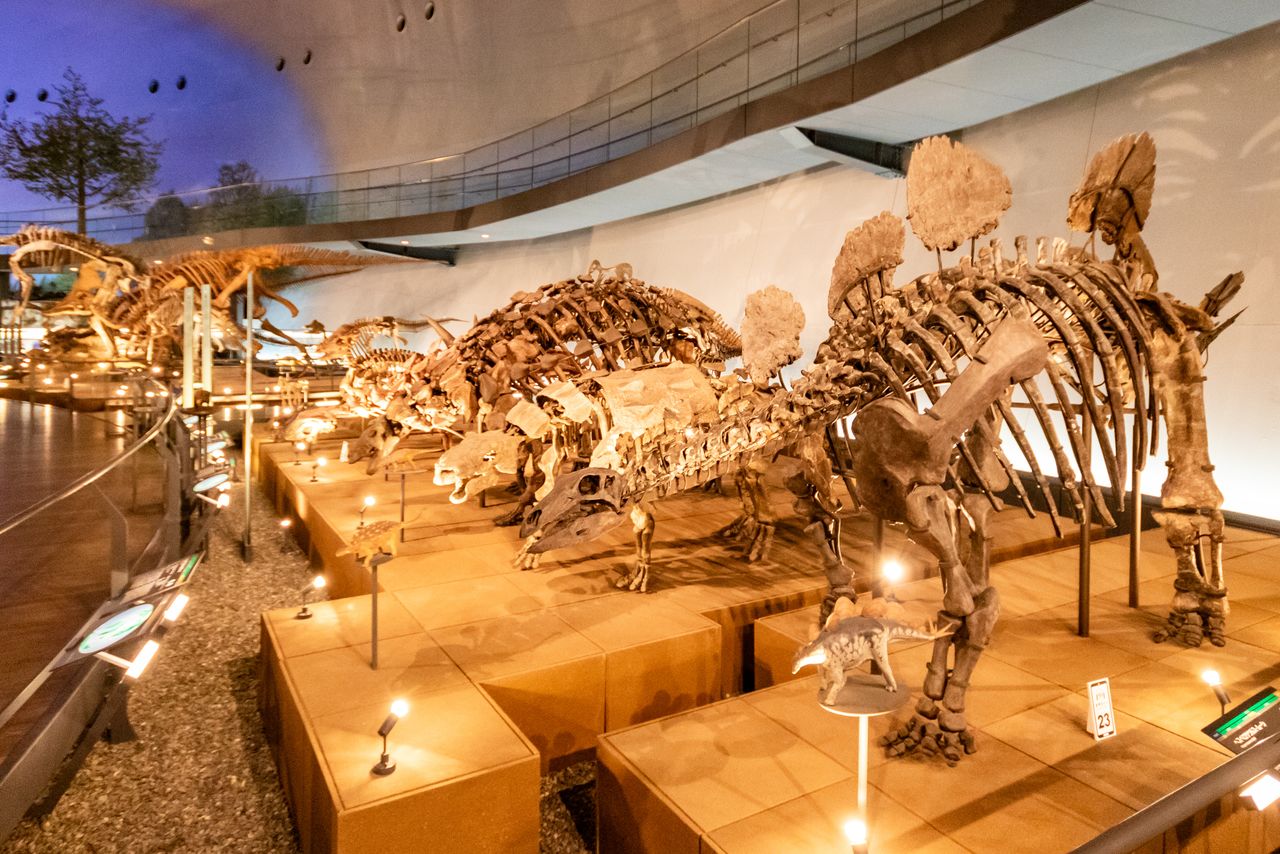 Цвета реконструированных динозавров придуманы художником. Каковы же они были на самом деле? (© Nippon.com)