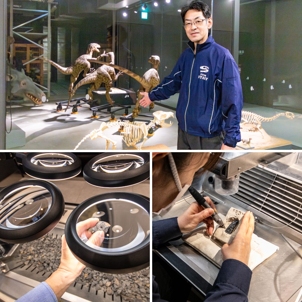 Вверху: Мацусита демонстрирует экспозицию с динозаврами. Слева внизу: попробуйте найти в груде породы настоящую окаменелость. Справа внизу: с помощью специальных инструментов можно самим очистить образец зуба динозавра (© Nippon.com)