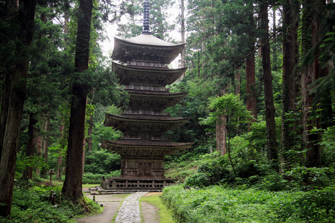 Пятиярусная пагода в древнем лесу