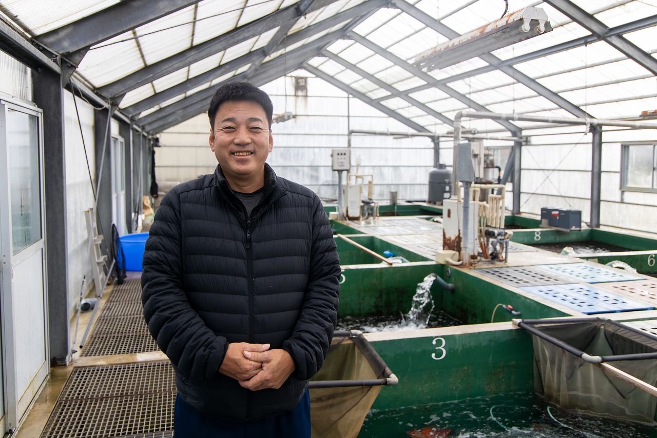 Менеджер фермы Isa Koi Farm Иса Мицунори в помещении, где находятся контейнеры для зимовки карпов