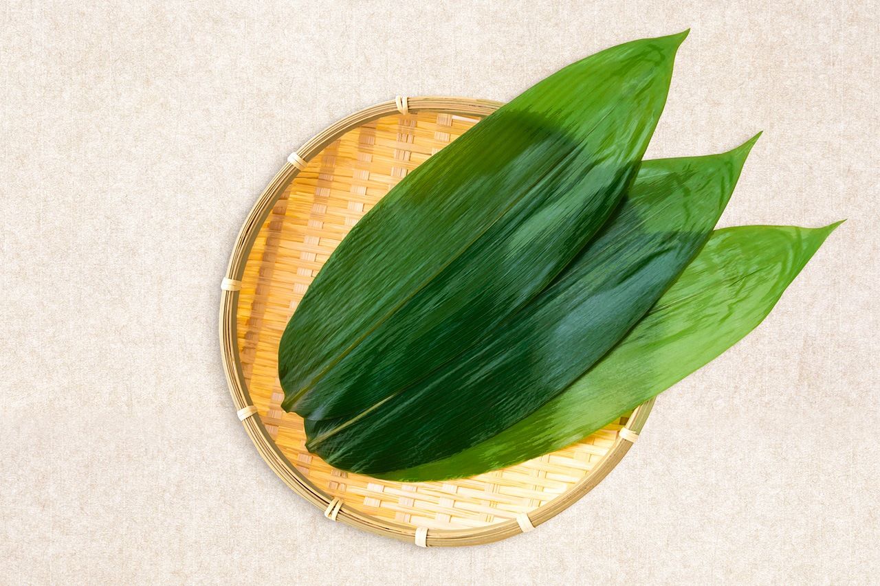 Листья бамбука саса,используемые для украшения блюд