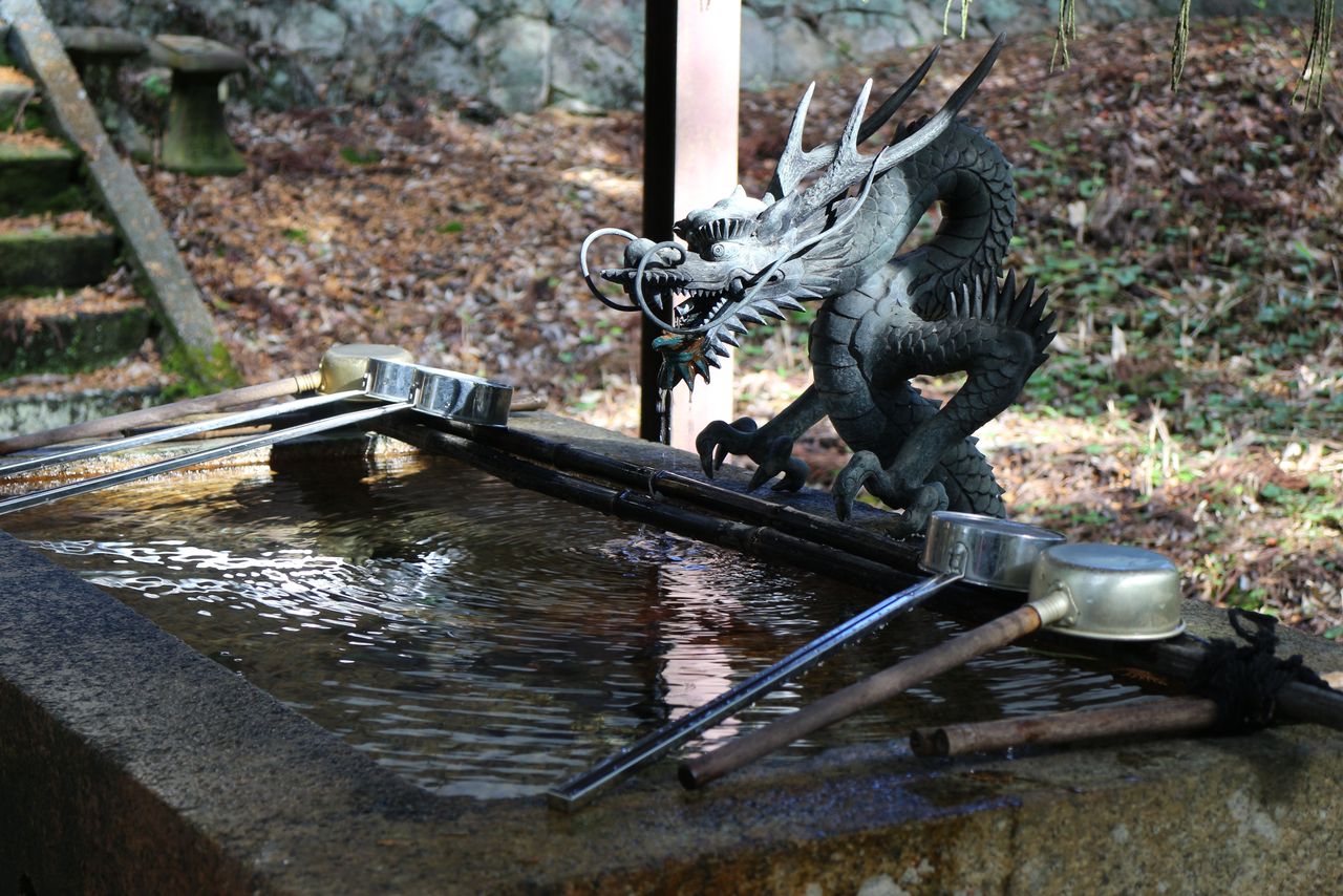 Бог-дракон у бассейна для омовения в синтоистском святилище (PIXTA)