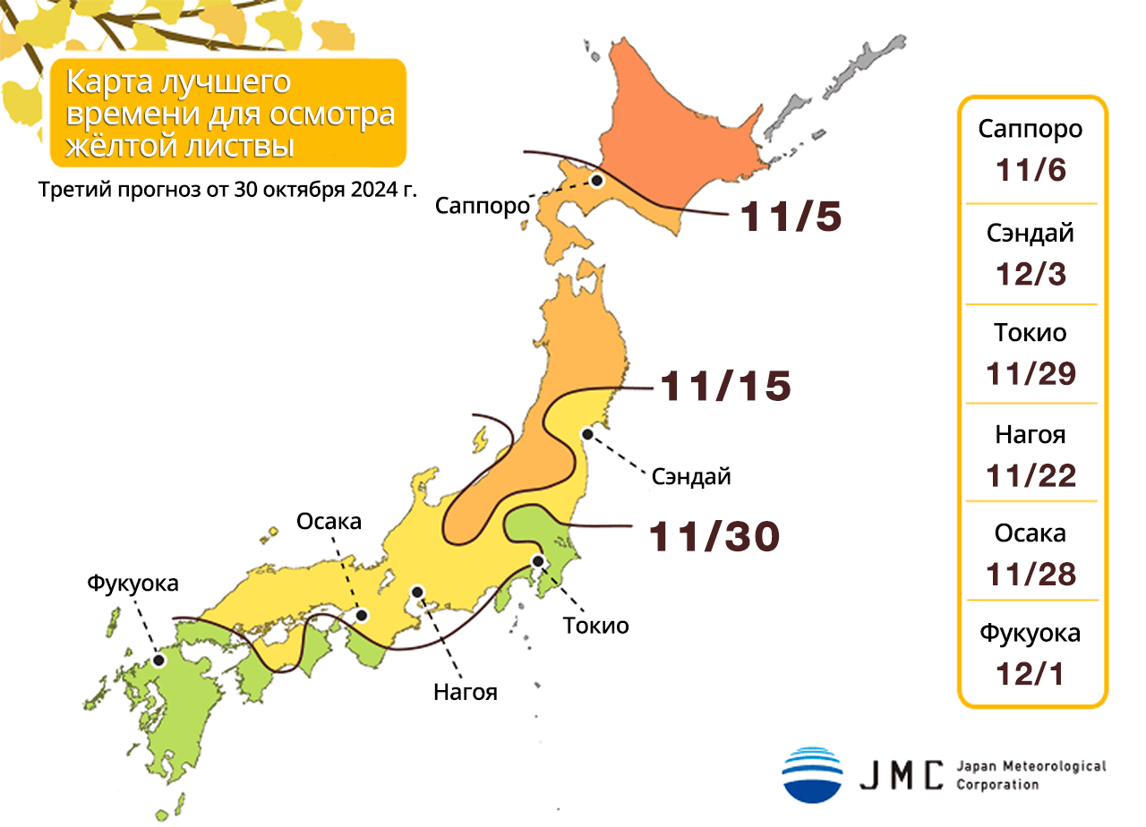 Карта лучшего времени для осмотра жёлтой листвы