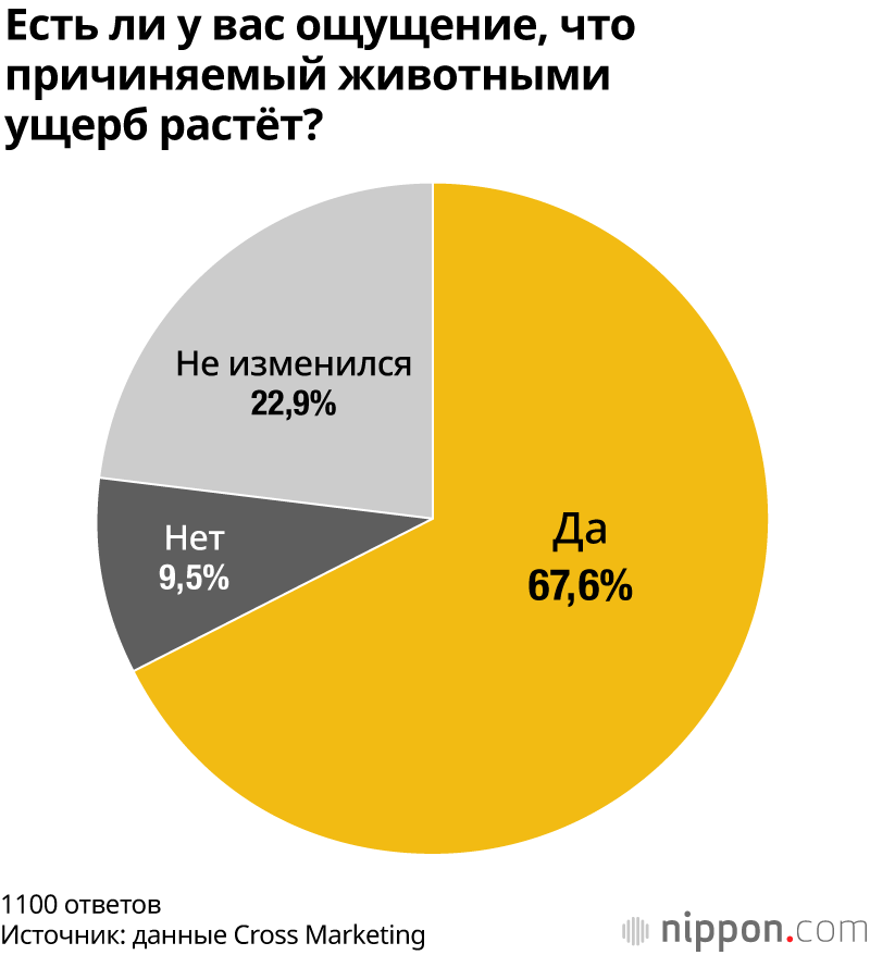 Есть ли у вас ощущение, что причиняемый животными ущерб растёт?