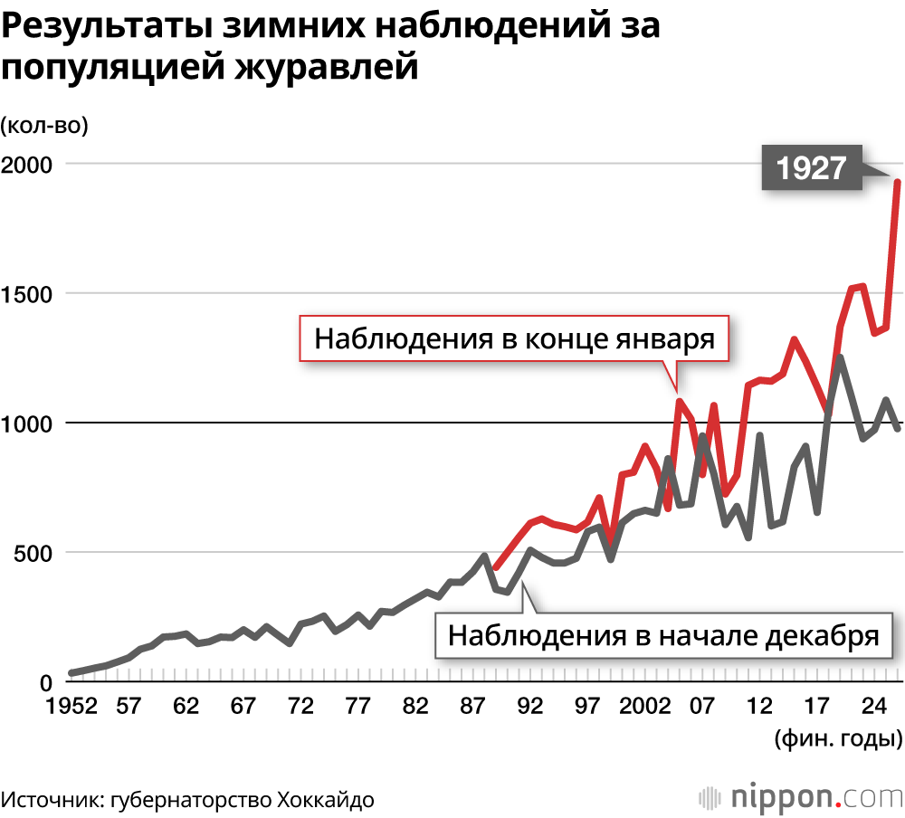 Результаты зимних наблюдений за популяцией журавлей