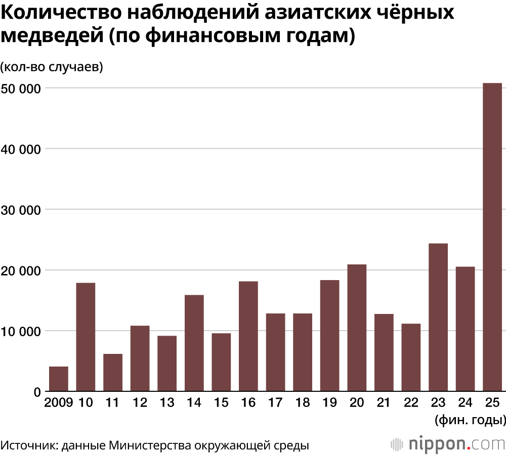 Количество наблюдений азиатских чёрных медведей (по финансовым годам)