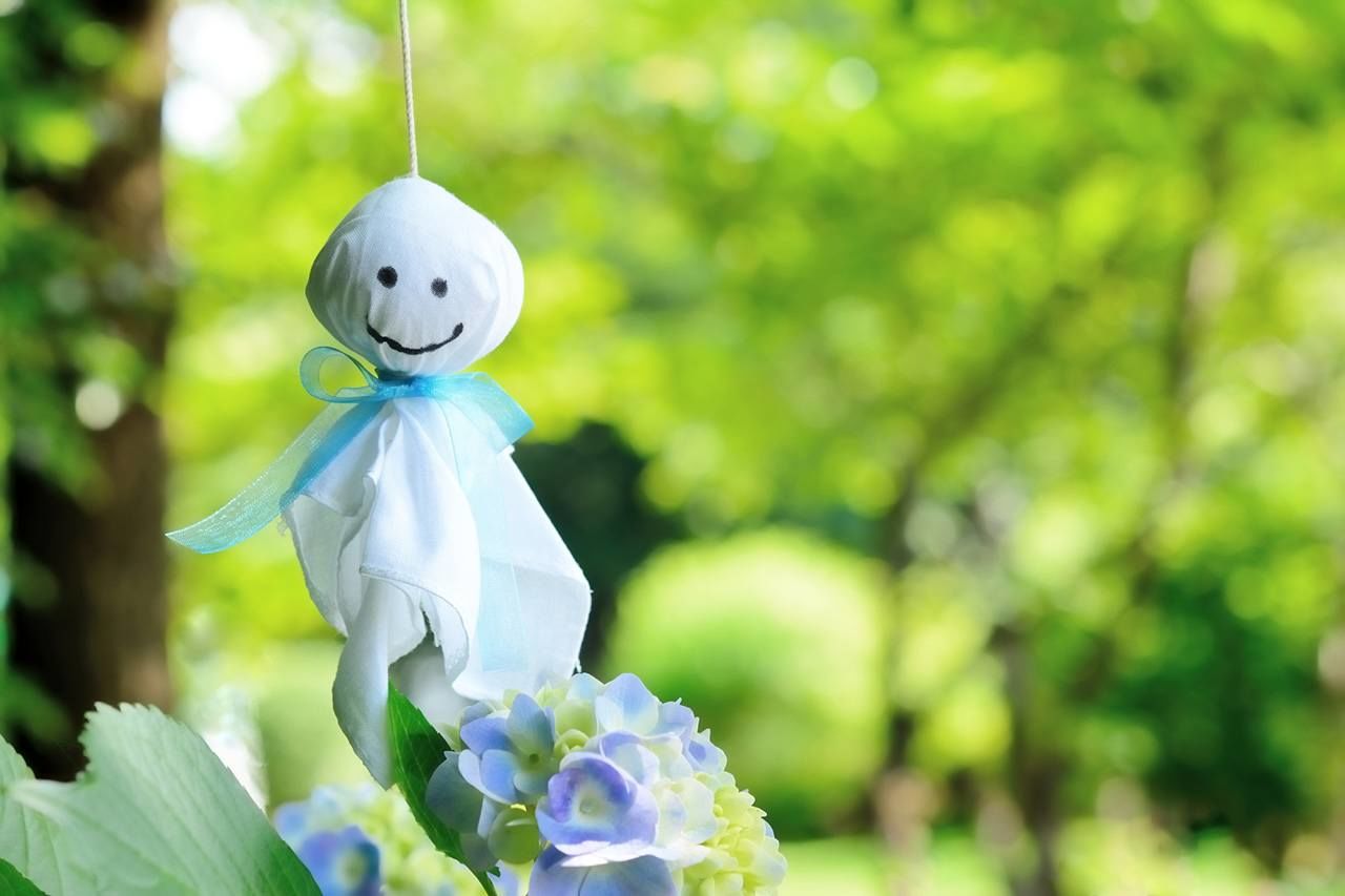 В сезон дождей цветут гортензии. Люди вывешивают кукол тэрутэру-бодзу, сделанных из бумаги или ткани, в надежде на наступление хорошей погоды