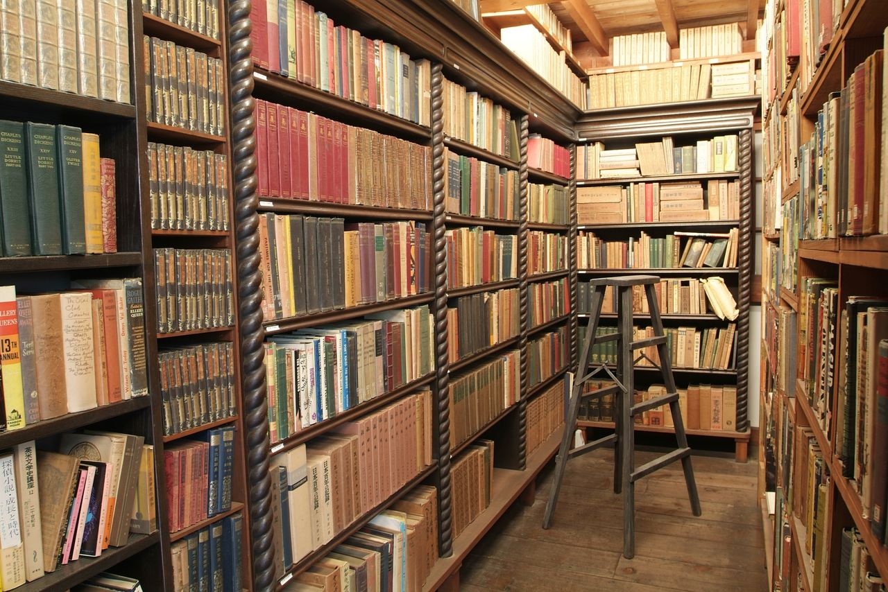 Библиотека в доме Эдогавы Рампо