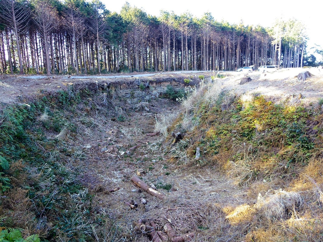 Полукруглые умадаси на руинах замка Сувахара в префектуре Сидзуока