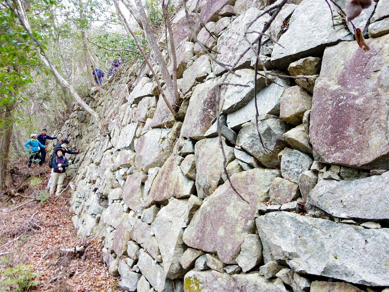 Высокая каменная стена замка Каннондзи в префектуре Сига