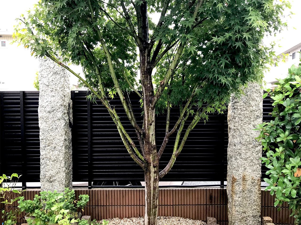 Каменные столбы в саду дома Такияма – пожалуй, единственные предметы, связанные с Такиямой. Она жила в одноэтажном доме позади