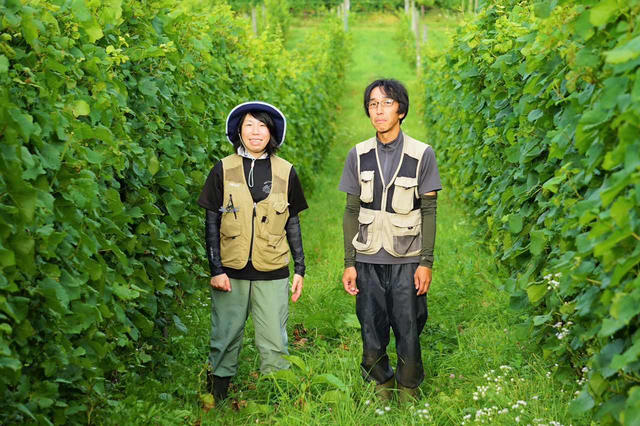 Синдзи и Эри Тиба на своём винограднике (© Укита Ясуюки)