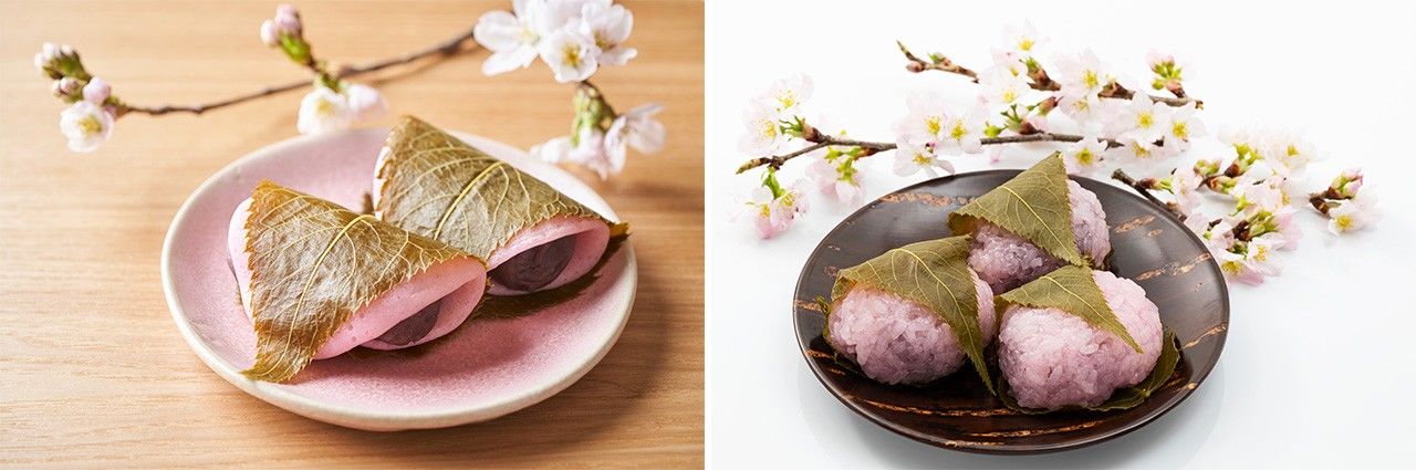 Лепёшки сакурамоти в стиле региона Канто (слева) и Кансай (справа) (© Pixta)