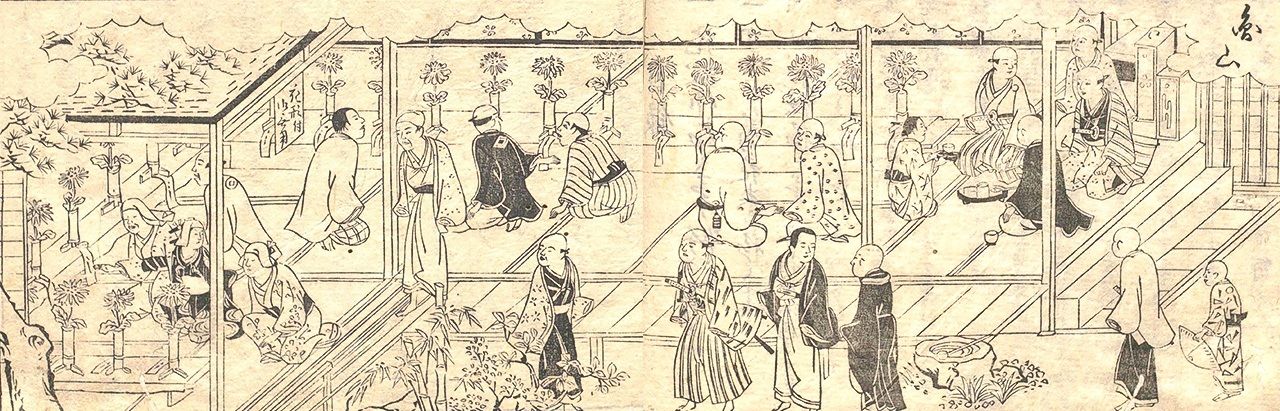 «Кадан ёкикусю» – руководство по выращиванию хризантем. Иллюстрация изображает оценку цветов (коллекция Национального института японской литературы)