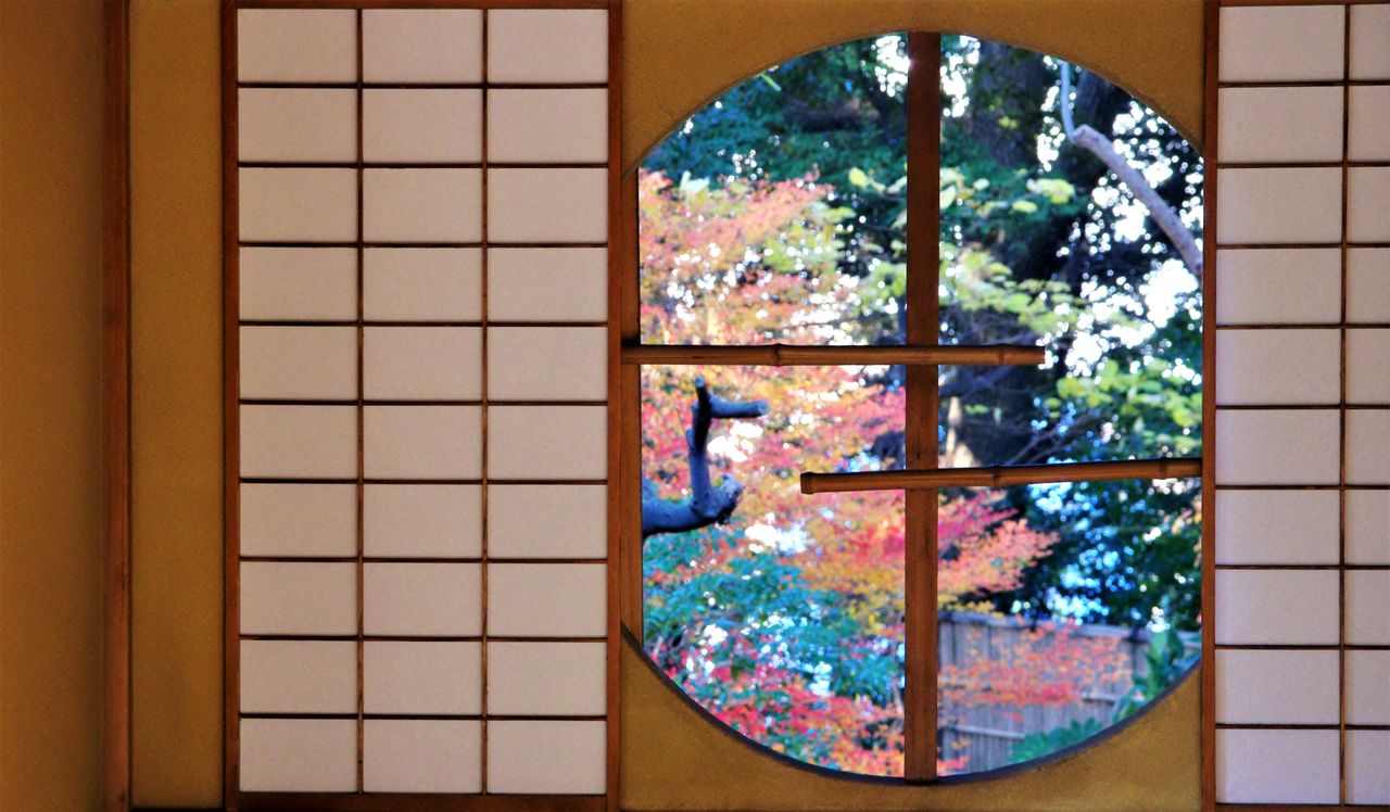 Резиденция Тодзё, где Токугава Акитакэ провёл вторую половину жизни. В задней комнате в покоях его жены Яэ есть круглое окно, через которое открывается прекрасный вид на осеннюю листву в саду (живописное место национального значения)
