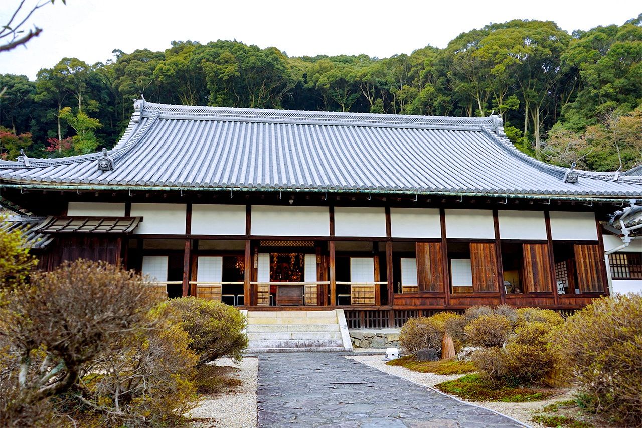 Вид на павильон Хатто, главное здание храма от входных ворот Косёдзи (фото Укиты Ясуюки)