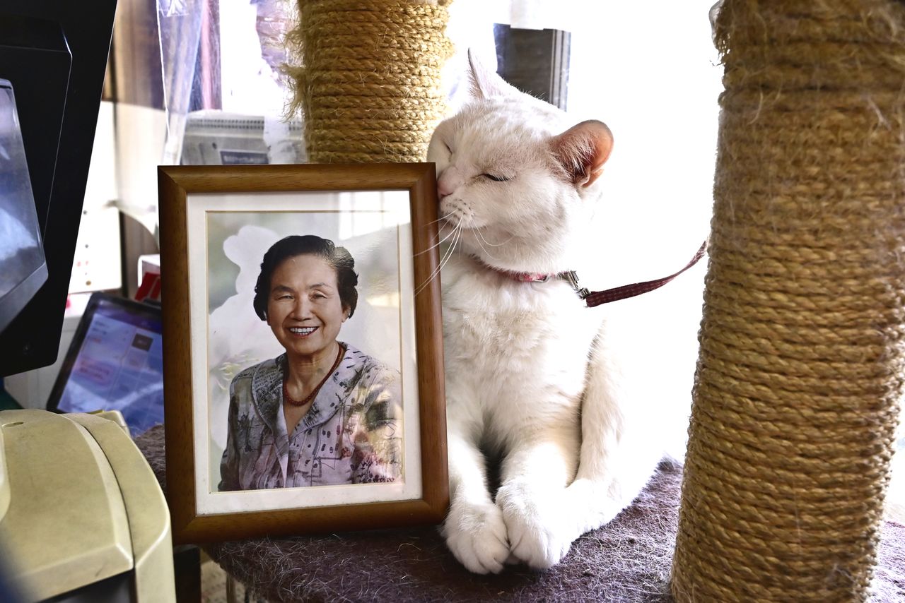 Мако рядом с фотографией покойной хозяйки Цуя