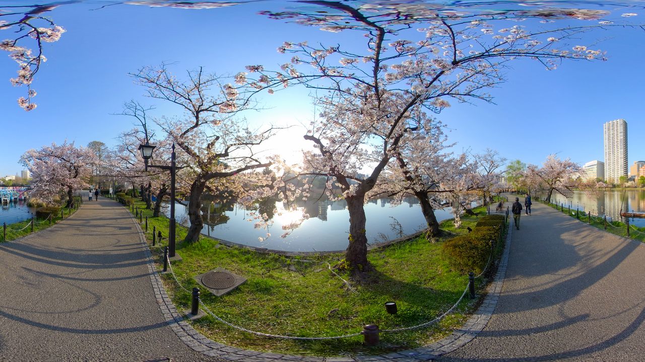 Пруд Синобадзу в парке Уэно