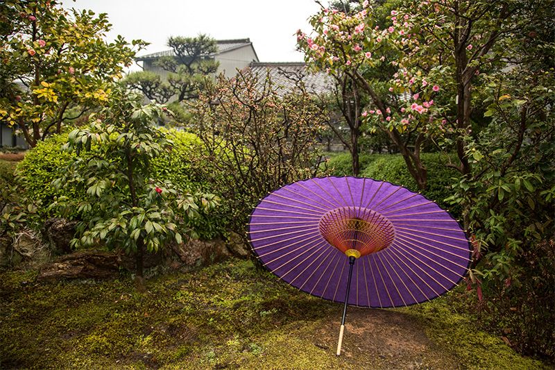 Глаз зонтик. Парасоль зонт японский. Буддизм зонтики Япония. Японский бумажный зонт. Вагаса традиционный японский зонтик.