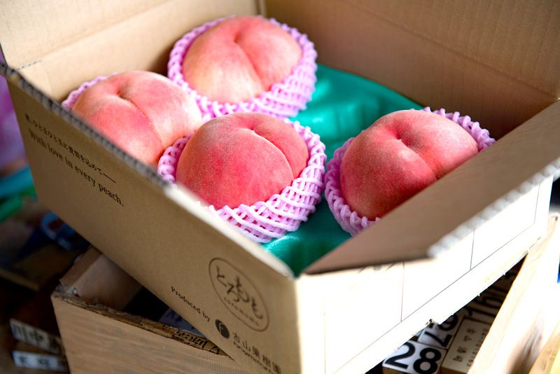 Самые сладкие персики в мире: мировой рекорд японских фруктов | Nippon.com