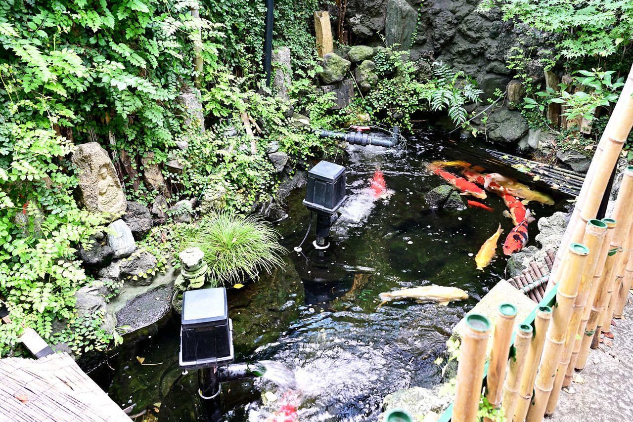 老朽化により漏水が起きていたという改修前の弁天池