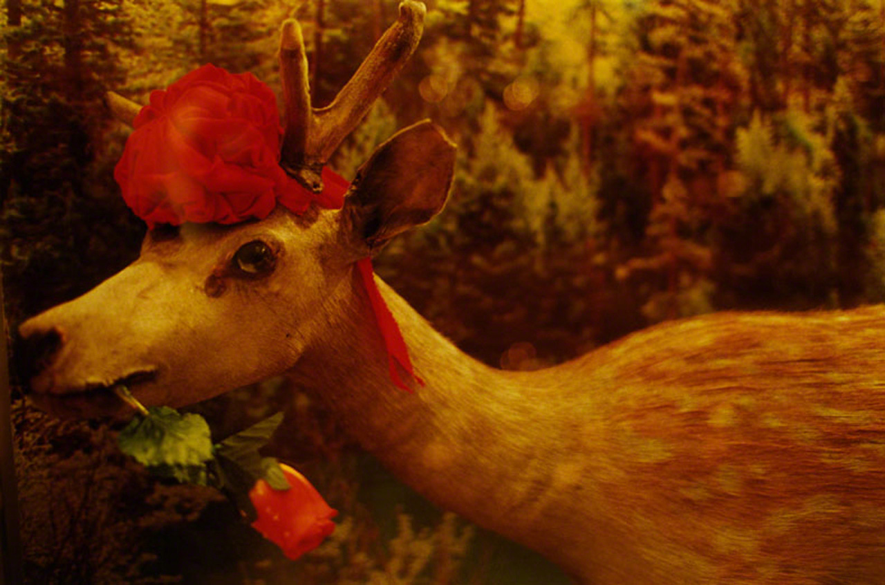 写真集『noir』(河出書房新社、2010年)より ©mika ninagawa, Courtesy of Tomio Koyama Gallery