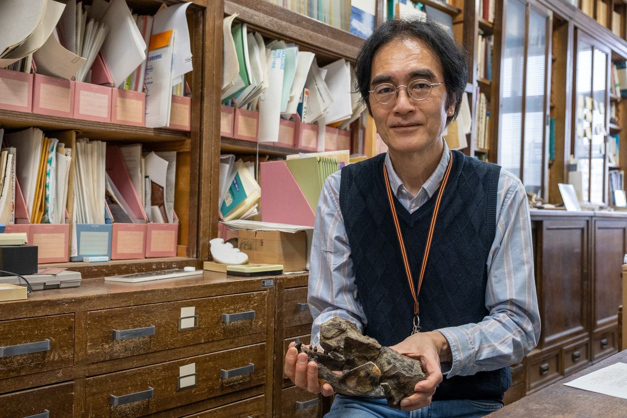 2020年に岐阜県瑞浪市で発見された1800万年前のアシカ類の最初期の化石・ミズナミムカシアシカ(仮)のレプリカを手にする甲能直樹教授 ©Michiko HAYASHI